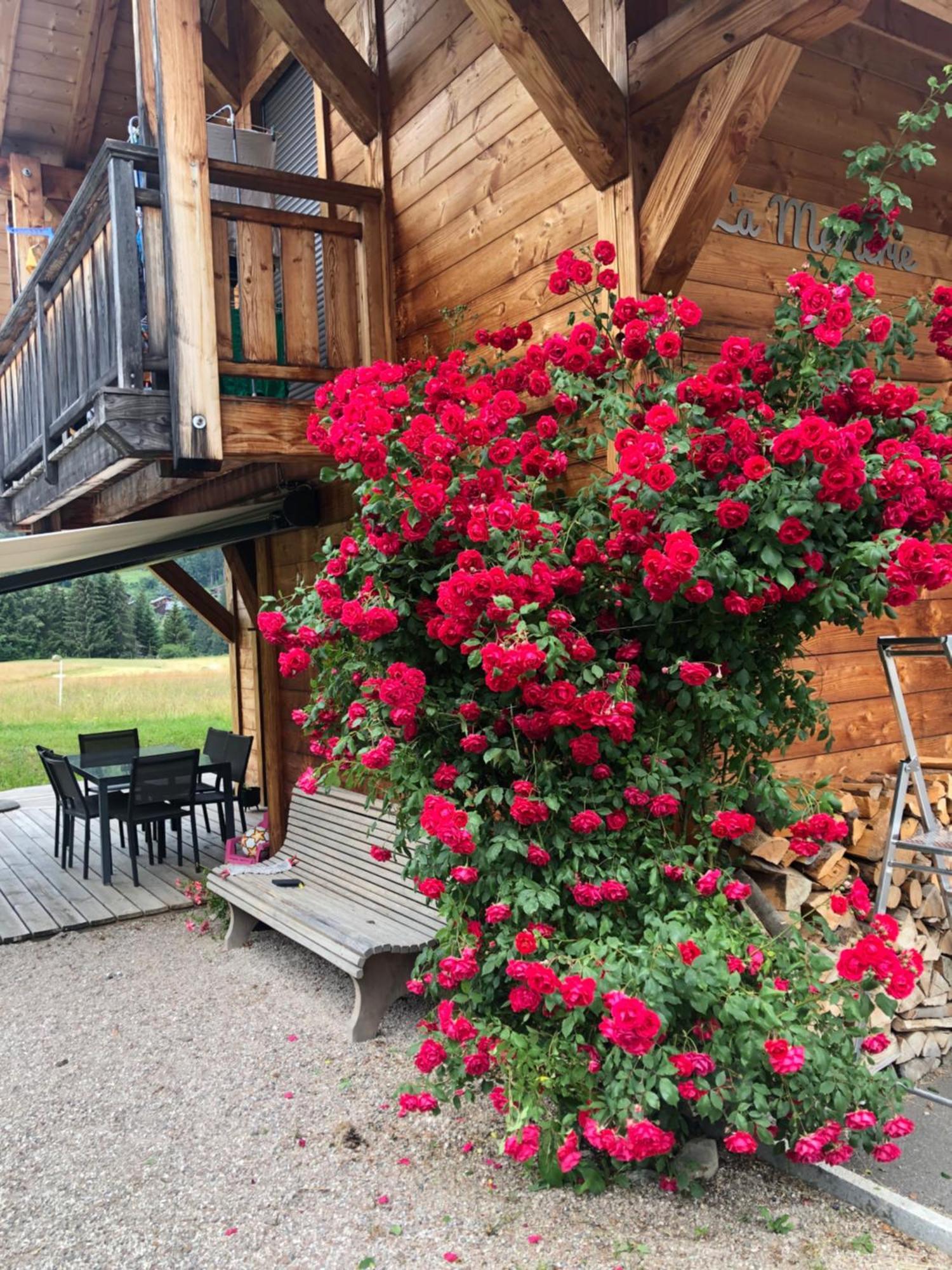 Chalet La Merlerie Morzine Exterior photo